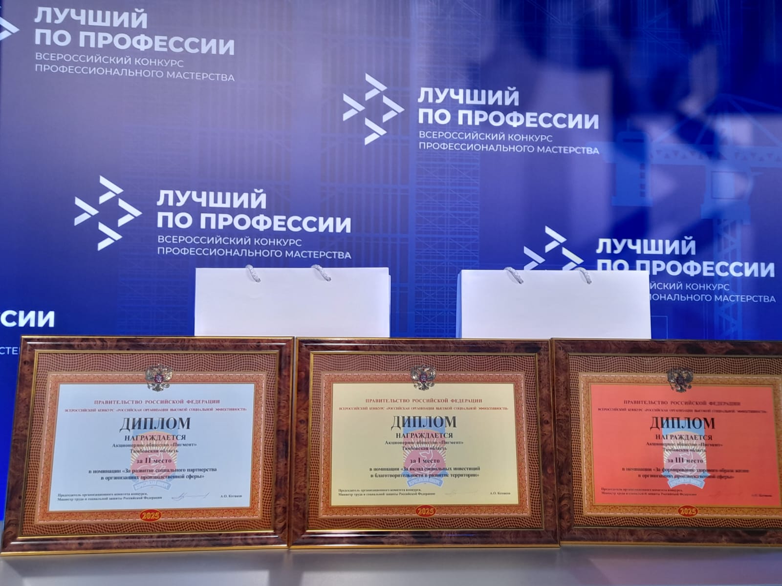 Тамбовский «Пигмент» признан победителем сразу в нескольких номинациях конкурса РОВСЭ